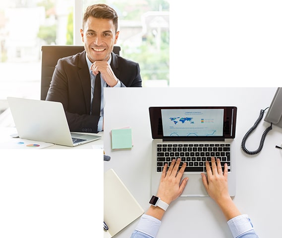 Professional translation services